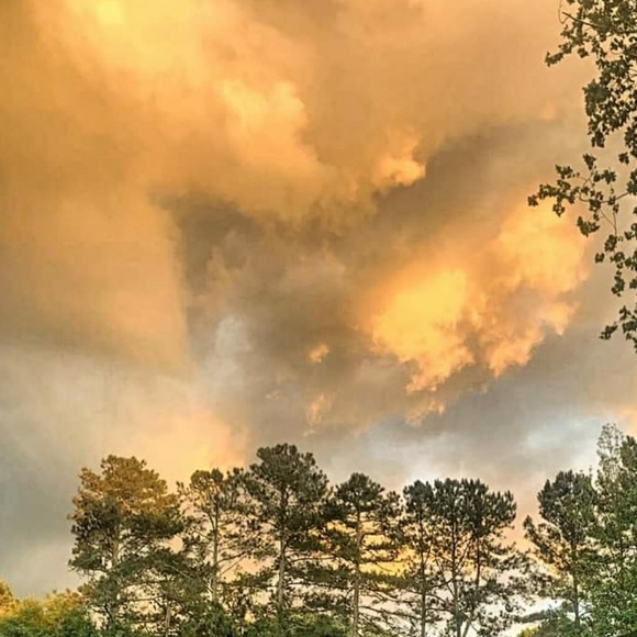 Meet your Posher, Ava - Picture 1 of 1